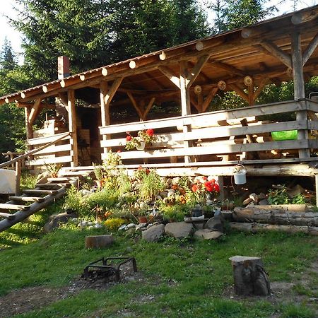 Cabana Filip Cavnic Bagian luar foto